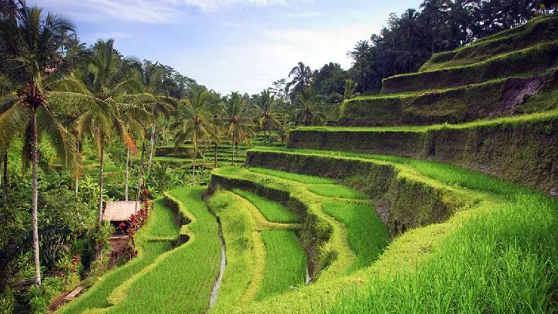 Ubud